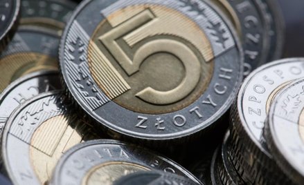 Delikatny wzrost wartości złotego na początku tygodnia