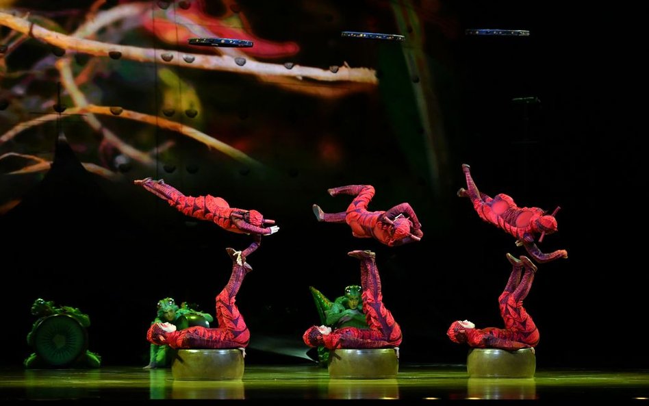 Kanadyjski cyrk nowego typu zbudował swoją legendę, odrzucając tresurę zwierząt i całkowicie koncent