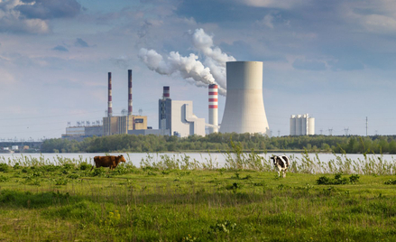 Niektóre stare bloki węglowe mają szansę na drugie życie. Spółki myślą o dostosowaniu bloków 200 MW 