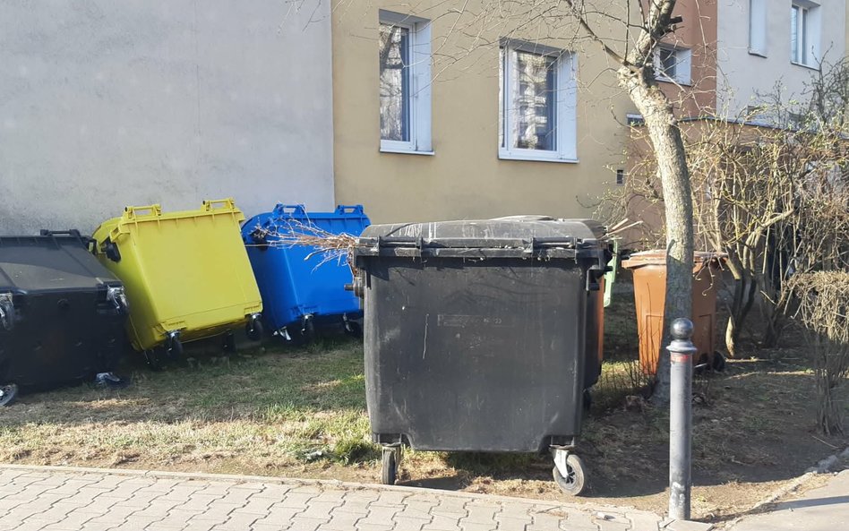 Widok nadamiarowej ilości koszy na śmieci to zjawisko bardzo popularne na terenie obu Prag