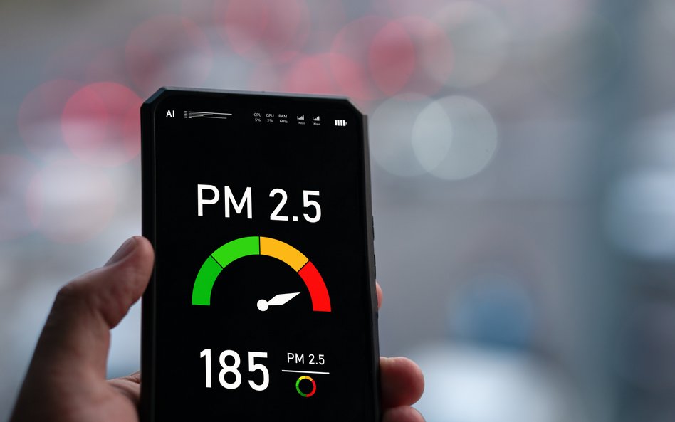 Zanieczyszczenie powietrza, szczególnie pył PM2,5, może zwiększać ryzyko zaostrzeń RZS