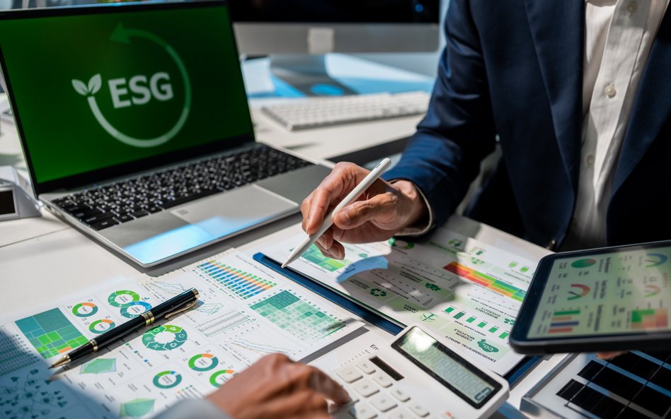 ESG gwałtownie wyhamowało. Liczba raportów spadła o jedną trzecią