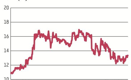 Ferro ma rozproszony akcjonariat, w którym dominują polskie OFE i TFI. Kurs akcji tej spółki spadł w