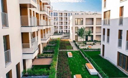 Moje Miejsce coraz większe