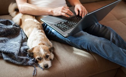 Praca z sieci nie tylko dla specjalisty, ale i robotnika