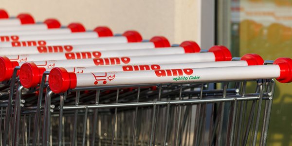 Czas wybrać się na zakupy po Dino?