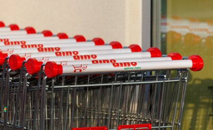 Czas wybrać się na zakupy po Dino?