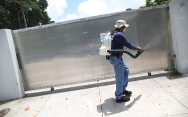 Władze Miami zabezpieczają się przed komarami mogącymi roznosić niebezpiecznego wirusa.