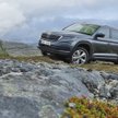 Skoda Kodiaq - znamy polskie ceny