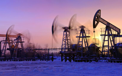 Sankcje wstrzymują Gazprom i Łukoil
