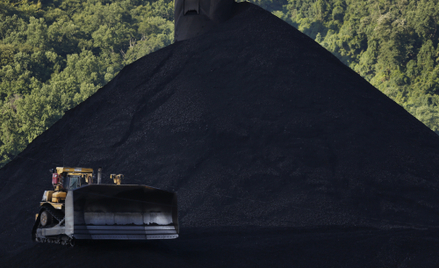 Cena węgla wystrzeliła w tym roku w górę