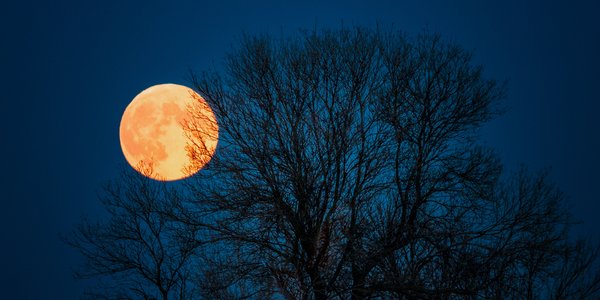 Najjaśniejsza i największa superpełnia w 2025 roku. Kiedy obserwować Księżyc w listopadzie?