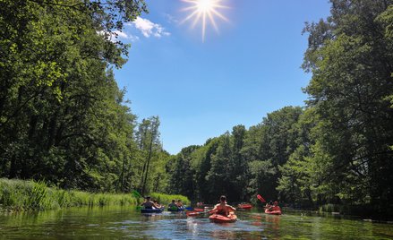Adam Woźniak: Luzowanie napędzi wzrost cen