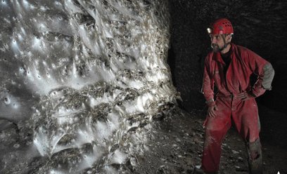 Pajęcze megamiasto w jaskini na granicy Grecji i Albanii zamieszkuje głównie gatunek Tegenaria domes