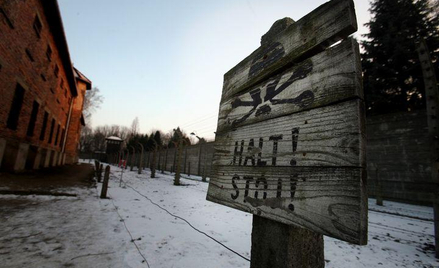 Auschwitz