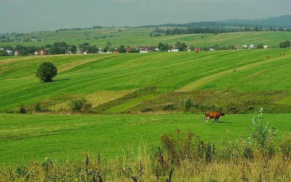 Porozumienie inwestycyjne: 100 tys. osób wejdzie w zasięg usług