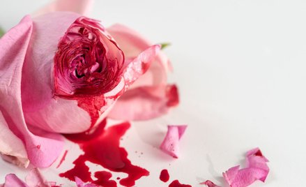 ONZ alarmuje: Milionom dziewcząt grozi obrzezanie