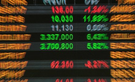 Zarządzający wracają do kraju