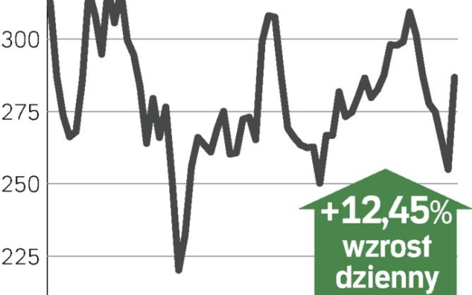 Akcje przewoźnika poszybowały