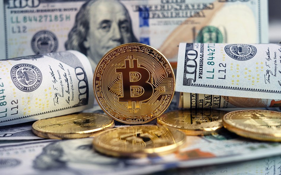 Polsko-szwajcarski start-up Bitfold buduje biznes na zapewnianiu ochrony m.in. dla kryptowalut
