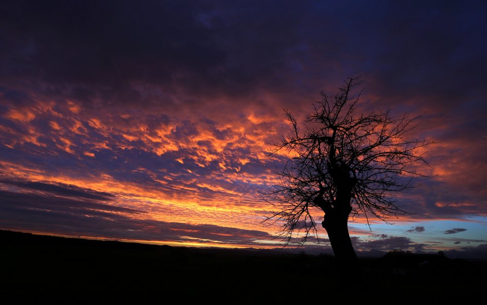 Na południu Niemiec