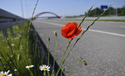 Od lipca 300 km więcej płatnych dróg
