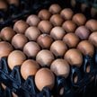 Tajska firma CP Foods chwali się neutralnymi węglowo jajkami.