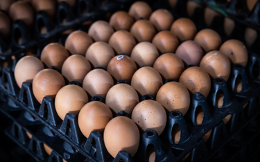 Tajska firma CP Foods chwali się neutralnymi węglowo jajkami.
