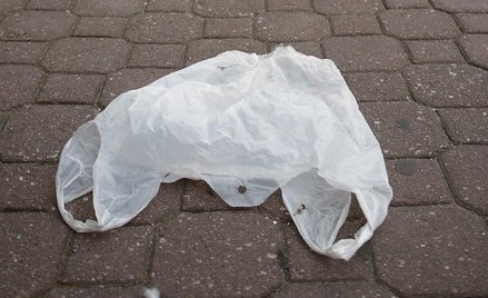 Foliówka płatna, zrywka za darmo