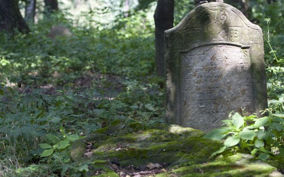 Zbudują boiska na żydowskich grobach?