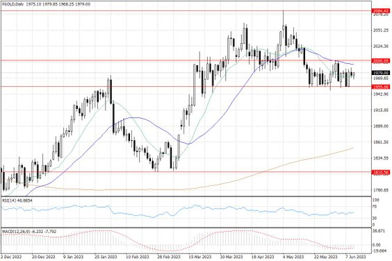 Notowania złota – dane dzienne