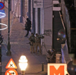 Przedszkolaki płaczą przez terrorystów