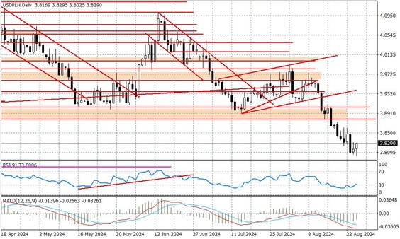 Wykres dzienny USDPLN