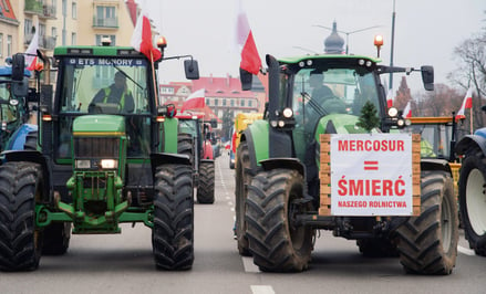 Storpedować umowę z Mercosur próbują rolnicy z takich krajów, jak Polska czy Francja, choć prawda o 