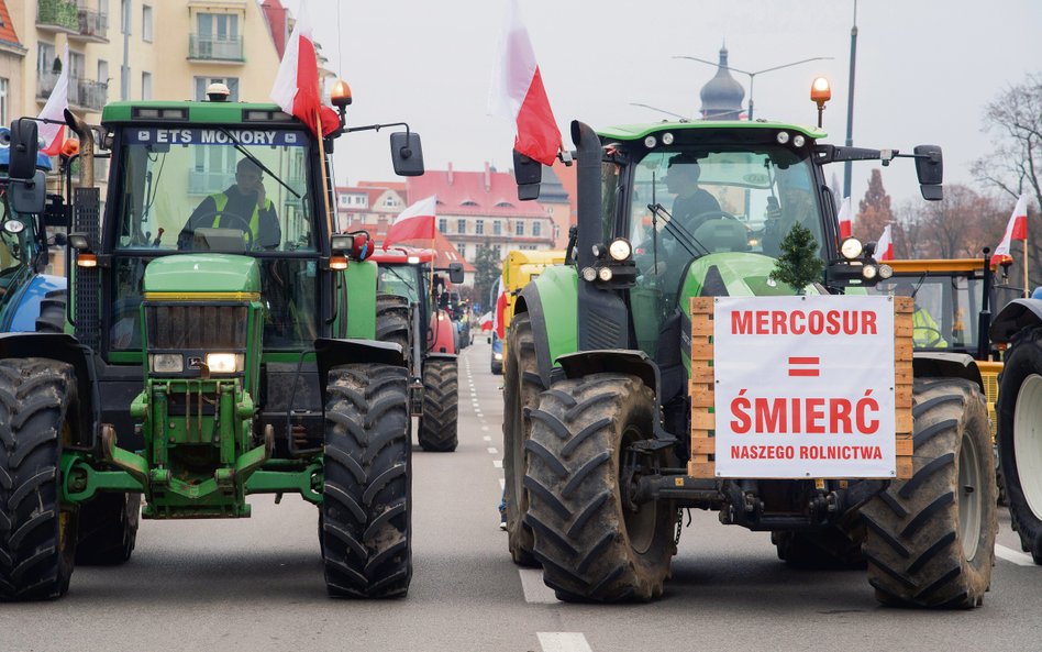 Storpedować umowę z Mercosur próbują rolnicy z takich krajów, jak Polska czy Francja, choć prawda o 