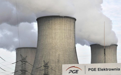 PGE bierze większość EDF