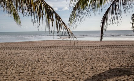 Tripadvisor wybrał najpiękniejsze plaże 2023 roku. Karaiby górą