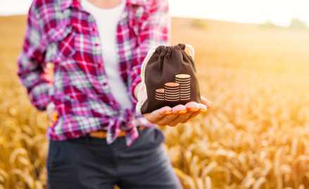 Rolnicy, pożyczka lombardowa i ochrona konsumencka – co wynika z tego połączenia?