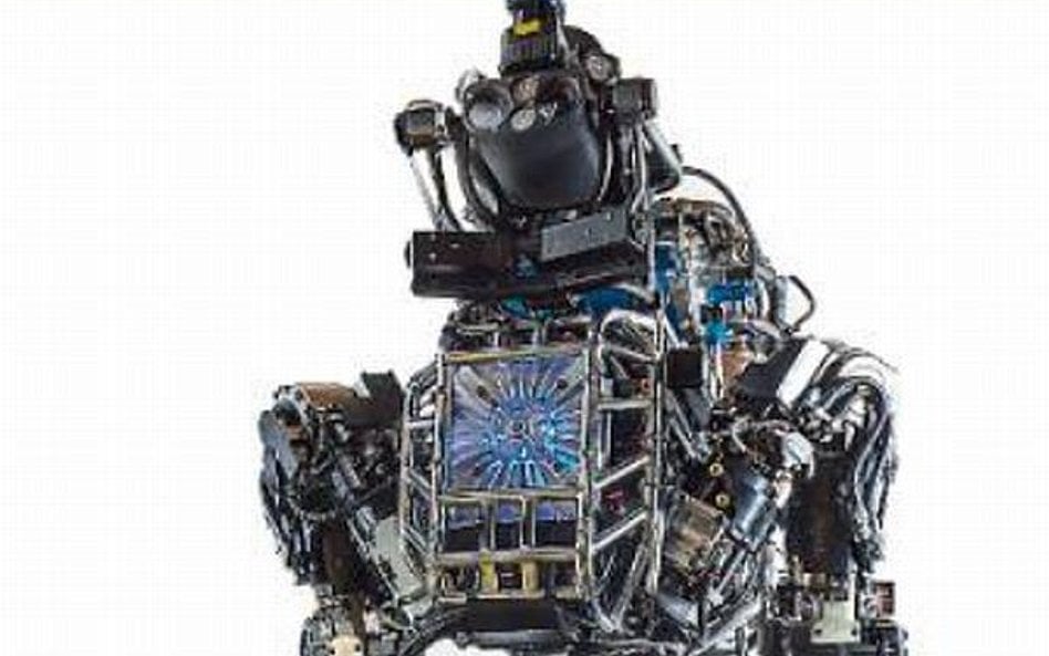 Łagodny terminator