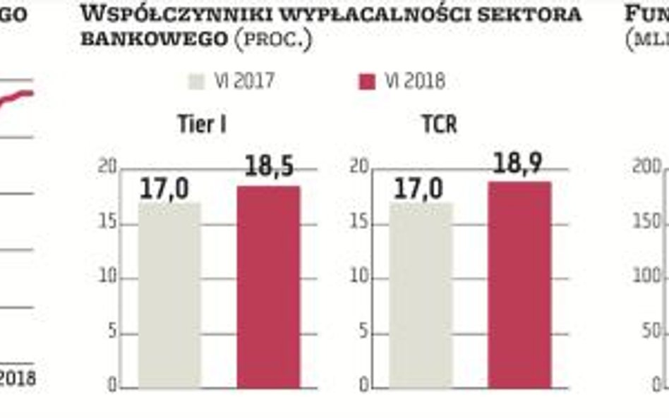 Polskie banki nie spełnią wymogów MREL bez emisji zagranicznych