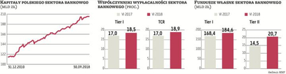 Polskie banki nie spełnią wymogów MREL bez emisji zagranicznych