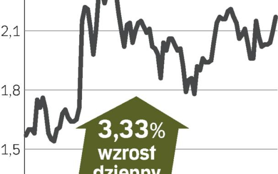 Przejęcie Maflow winduje kurs