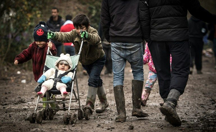 Do czego jeszcze zmusić imigrantów