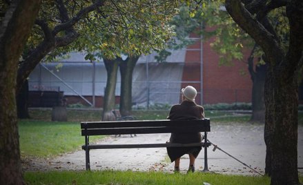 Codzienność odświętna