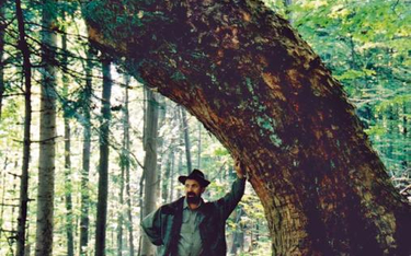 Leśniczy z leśnictwa Olszany – Franciszek Kostka, na jaworach zna się jak mało kto.