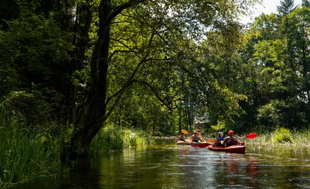 Do 5 listopada przyjmowane są wnioski w konkursie „Zrównoważona turystyka”. Celem jest tworzenie pon