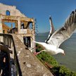 Ucieczka do hotelu Alcatraz