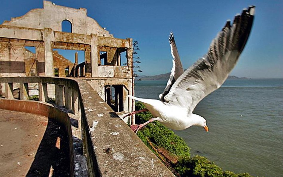 Ucieczka do hotelu Alcatraz