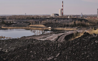 Dane Ministerstwa Aktywów Państwowych wskazują, że w 2022 r. do Polski wjechało ok. 15,7 mln ton węg