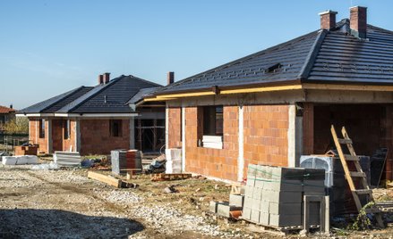 Takie domy budują Polacy